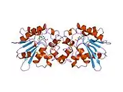 1tip: THE BISPHOSPHATASE DOMAIN OF THE BIFUNCTIONAL RAT LIVER 6-PHOSPHOFRUCTO-2-KINASE/FRUCTOSE-2,6-BISPHOSPHATASE