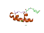 1uz9: CRYSTALLOGRAPHIC AND SOLUTION STUDIES OF N-LITHOCHOLYL INSULIN: A NEW GENERATION OF PROLONGED-ACTING INSULINS.