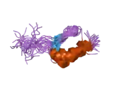 1va1: Solution Structure of Transcription Factor Sp1 DNA Binding Domain (Zinc Finger 1)