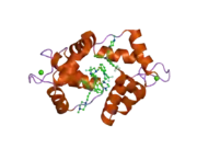 1wrk: Crystal structure of the N-terminal domain of human cardiac troponin C in complex with trifluoperazine (orthrombic crystal form)