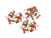 1wrl: Crystal structure of the N-terminal domain of human cardiac troponin C in complex with trifluoperazine (monoclinic crystal form)