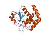 1wrm: Crystal structure of JSP-1