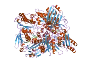 1wyg: Crystal Structure of a Rat Xanthine Dehydrogenase Triple Mutant (C535A, C992R and C1324S)