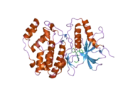 1wzy: Crystal structure of human ERK2 complexed with a pyrazolopyridazine derivative