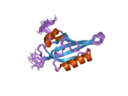 1x0o: human ARNT C-terminal PAS domain