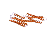 1xwj: Vinculin head (1-258) in complex with the talin vinculin binding site 3 (1945-1969)