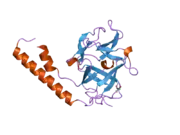 1xzz: Crystal structure of the ligand binding suppressor domain of type 1 inositol 1,4,5-trisphosphate receptor