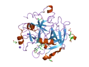 1ype: Thrombin Inhibitor Complex