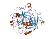 1ypm: X-ray crystal structure of thrombin inhibited by synthetic cyanopeptide analogue RA-1014