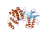 1ywr: Crystal structure analysis of inactive p38 kinase domain in complex with a monocyclic pyrazolone inhibitor