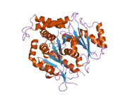 1z5v: Crystal structure of human gamma-tubulin bound to GTPgammaS