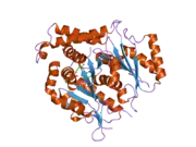 1z5w: Crystal Structure of gamma-tubulin bound to GTP