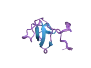 1z9q: Solution structure of SH3 domain of p40phox