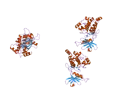 1z9x: Human DRP-1 kinase, W305S S308A D40 mutant, crystal form with 3 monomers in the asymmetric unit