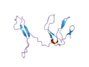 1zk9: NF-kB RelB forms an intertwined homodimer