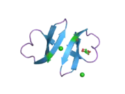 1zmk: Crystal structure of human alpha-defensin-2 (variant Gly16-> D-ALA), P 42 21 2 space group