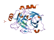 1zpz: Factor XI catalytic domain complexed with N-((R)-1-(4-bromophenyl)ethyl)urea-Asn-Val-Arg-alpha-ketothiazole