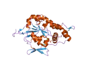 1zrh: Crystal structure of Human heparan sulfate glucosamine 3-O-sulfotransferase 1 in complex with PAP