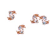 1zws: Crystal structure of the catalytic domain of human DRP-1 kinase