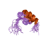 1zwv: Solution Structure of the subunit binding domain (hbSBD) of the human mitochondrial branched-chain alpha-ketoacid dehydrogenase