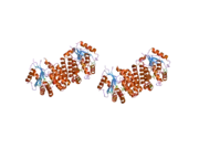 2a2z: Crystal Structure of human deoxycytidine kinase in complex with deoxycytidine and uridine diphosphate