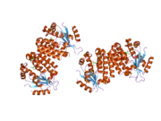 2a30: Crystal structure of human deoxycytidine kinase in complex with deoxycytidine