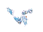 2a38: Crystal structure of the N-Terminus of titin