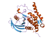 2a3k: Crystal Structure of the Human Protein Tyrosine Phosphatase, PTPN7 (HePTP, Hematopoietic Protein Tyrosine Phosphatase)