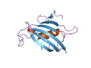 2awg: Structure of the PPIase domain of the Human FK506-binding protein 8