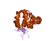 2b1w: Solution structure of the NOD1 Caspase Activating and Recruitment Domain