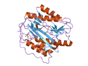 2b3l: Crystal structure of type I human methionine aminopeptidase in the apo form