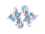 2b5l: Crystal Structure of DDB1 In Complex with Simian Virus 5 V Protein