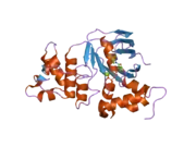 2bbo: Human NBD1 with Phe508