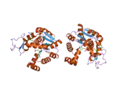 2bbw: Crystal structure of human adenylate kinase 4 (AK4) in complex with diguanosine pentaphosphate