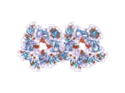 2bdi: Human Kallikrein 4 complex with cobalt and p-aminobenzamidine