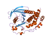 2bij: CRYSTAL STRUCTURE OF THE HUMAN PROTEIN TYROSINE PHOSPHATASE PTPN5 (STEP, STRIATUM ENRICHED ENRICHED PHOSPHATASE)