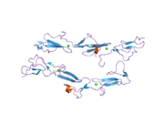 2bo2: EGF DOMAINS 1,2,5 OF HUMAN EMR2, A 7-TM IMMUNE SYSTEM MOLECULE, IN COMPLEX WITH CALCIUM.