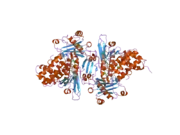 2bra: STRUCTURE OF N-TERMINAL FAD BINDING MOTIF OF MOUSE MICAL