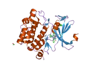 2bzh: CRYSTAL STRUCTURE OF THE HUMAN PIM1 IN COMPLEX WITH A RUTHENIUM ORGANOMETALLIC LIGAND RU1