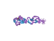 2bzm: SOLUTION STRUCTURE OF THE PRIMARY HOST RECOGNITION REGION OF COMPLEMENT FACTOR H