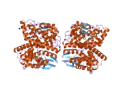 2c3q: HUMAN GLUTATHIONE-S-TRANSFERASE T1-1 W234R MUTANT, COMPLEX WITH S-HEXYLGLUTATHIONE