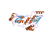 2c4p: CRYSTAL STRUCTURE OF HUMAN UBIQUITIN-CONJUGATING ENZYME UBCH5A