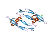 2c7w: CRYSTAL STRUCTURE OF HUMAN VASCULAR ENDOTHELIAL GROWTH FACTOR-B: IDENTIFICATION OF AMINO ACIDS IMPORTANT FOR ANGIOGENINC ACTIVITY