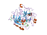 2c8x: THROMBIN INHIBITORS