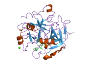 2cf9: COMPLEX OF RECOMBINANT HUMAN THROMBIN WITH A INHIBITOR