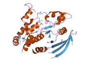 2cfv: CRYSTAL STRUCTURE OF HUMAN PROTEIN TYROSINE PHOSPHATASE RECEPTOR TYPE J