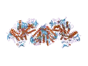 2cfy: CRYSTAL STRUCTURE OF HUMAN THIOREDOXIN REDUCTASE 1