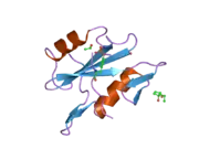 2cia: HUMAN NCK2 SH2-DOMAIN IN COMPLEX WITH A DECAPHOSPHOPEPTIDE FROM TRANSLOCATED INTIMIN RECEPTOR (TIR) OF EPEC