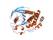 2cjz: CRYSTAL STRUCTURE OF THE C472S MUTANT OF HUMAN PROTEIN TYROSINE PHOSPHATASE PTPN5 (STEP, STRIATUM ENRICHED PHOSPHATASE) IN COMPLEX WITH PHOSPHOTYROSINE