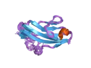 2ckn: NMR STRUCTURE OF THE FIRST IG MODULE OF MOUSE FGFR1